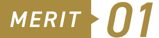 MERIT 01