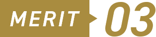 MERIT 03