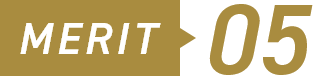 MERIT 05